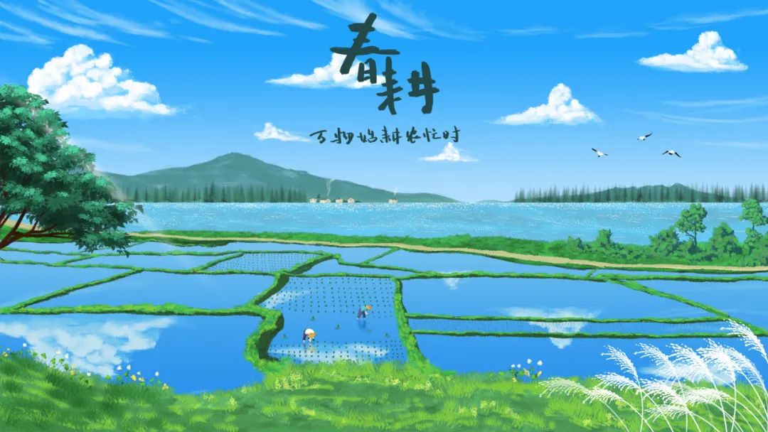 ִ֪ʶ��Ȩ֮�� �洺����������